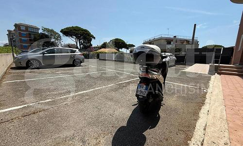 Appartamento Nettuno...