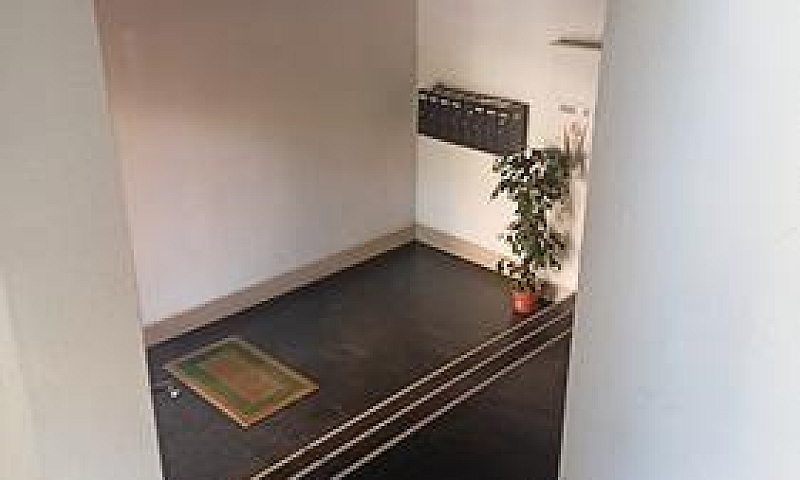 Zona Università, Tri...