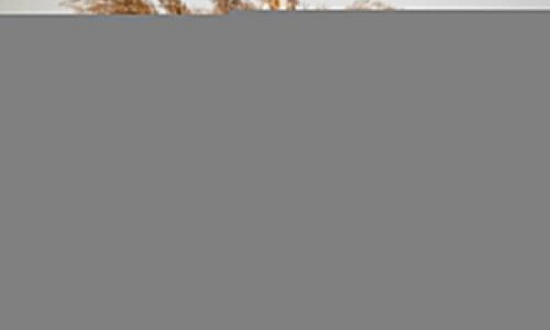 Laives: Monolocale D...