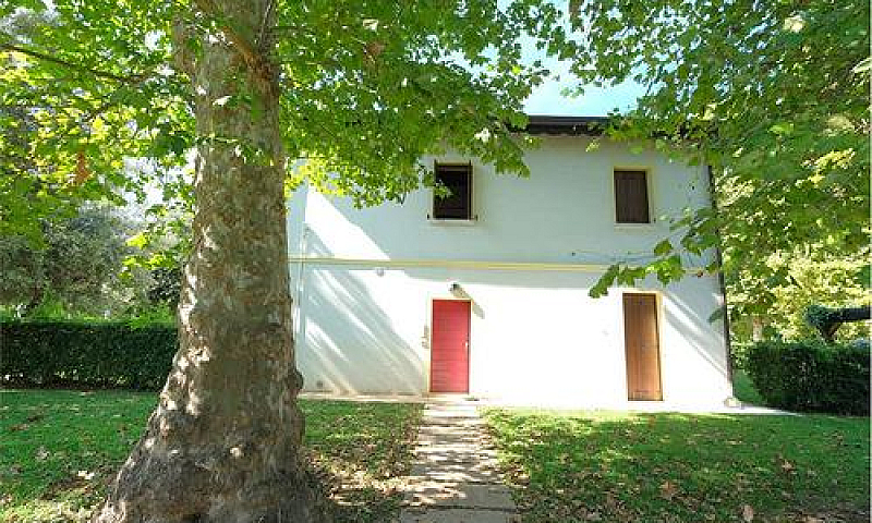 Appartamento A Jesol...