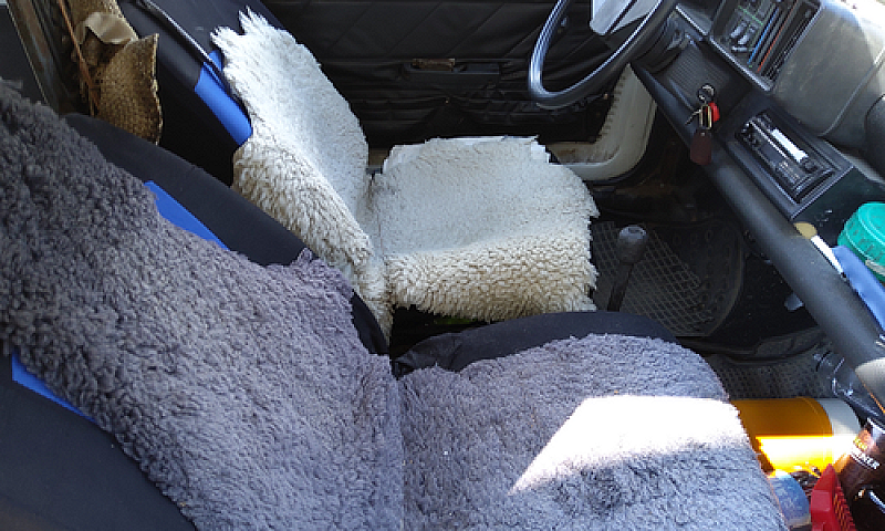 Autocarro Seat Terra...