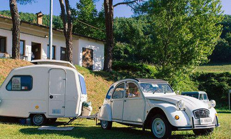Citroen 2Cv 6 Specia...