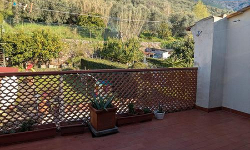 Appartamento Calci...