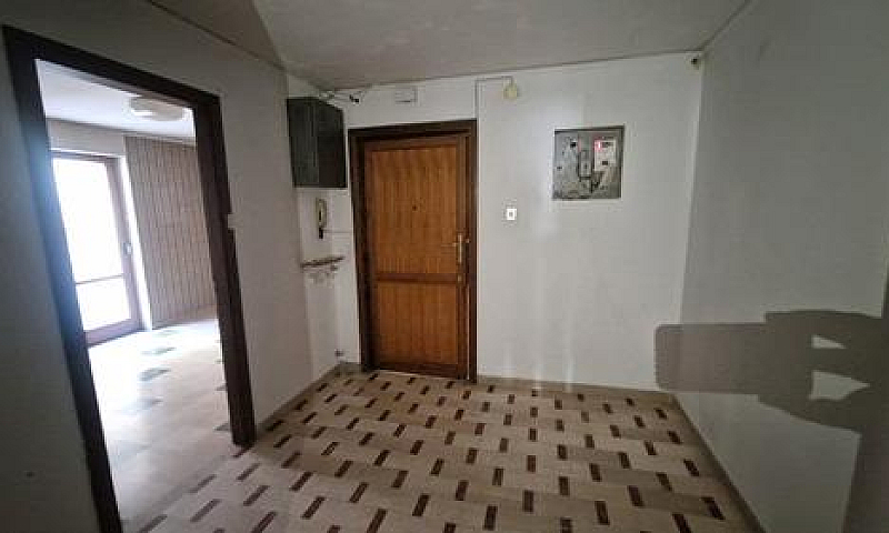 Via Dei Ligustri, Ap...
