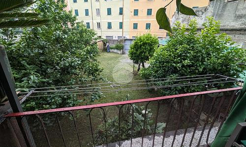 3 Locali A Genova...