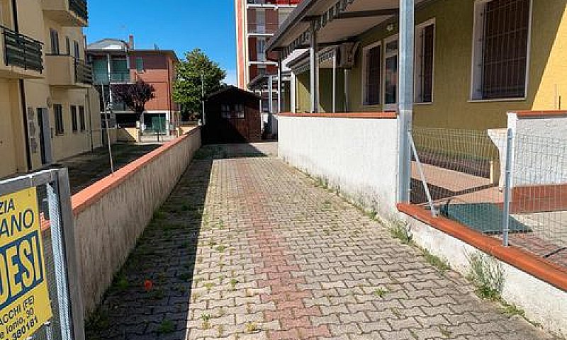 Trilocale Piano Terr...
