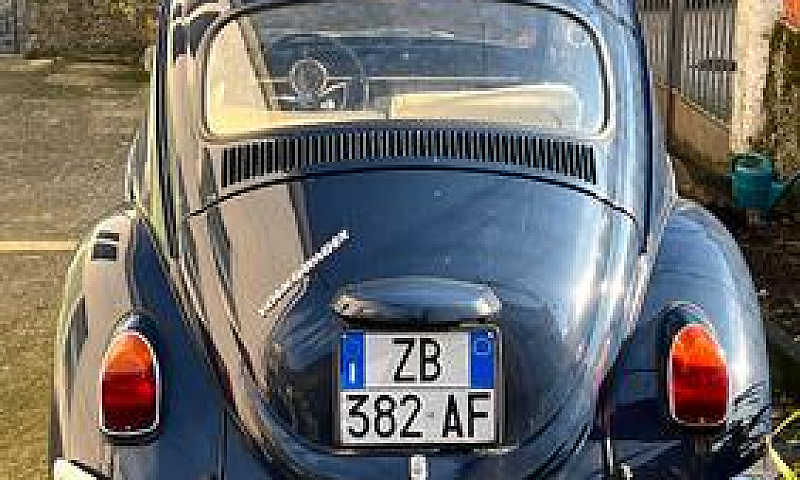 Volkswagen Maggiolin...