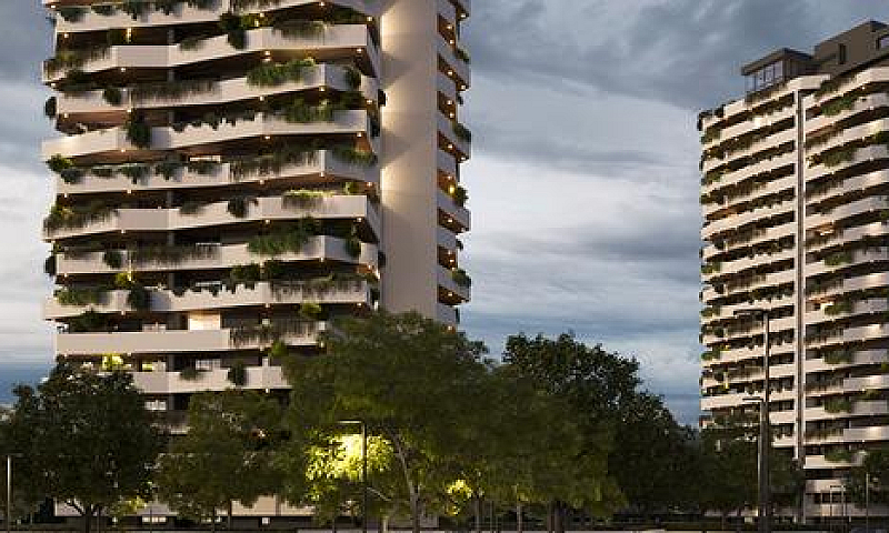 Zairo Urban Forest |...