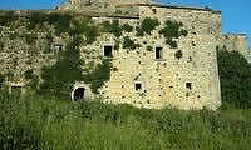 Intero Stabile - Pag...