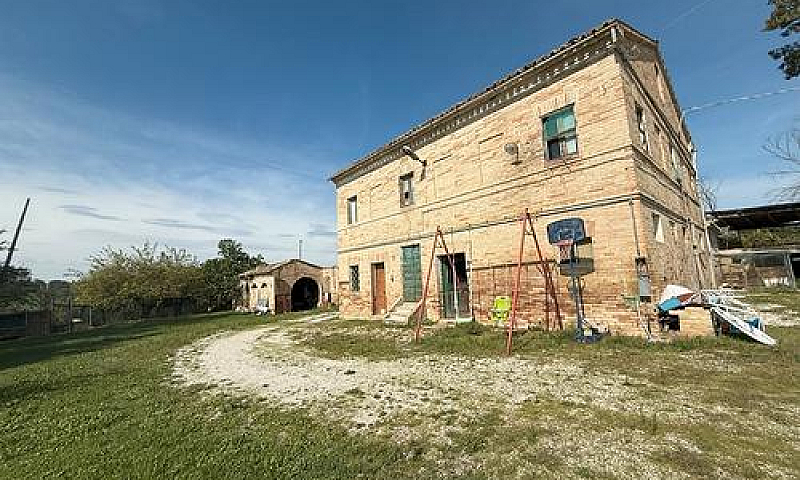 Tira Fuori La Tua Cr...