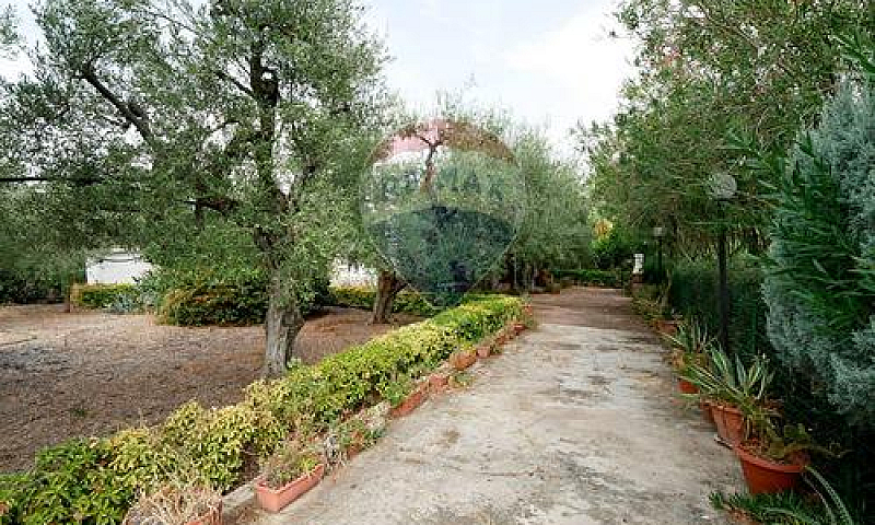 Appartamento - Barle...