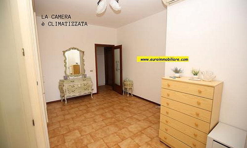 Trilocale Spazioso C...