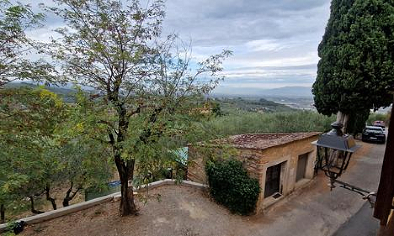 San Martino Alla Pal...