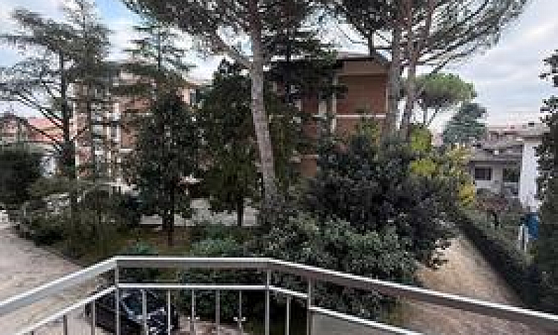 Zona Zalamella...