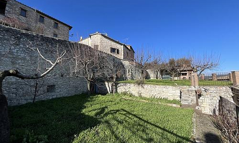 Amelia Palazzetto Ne...