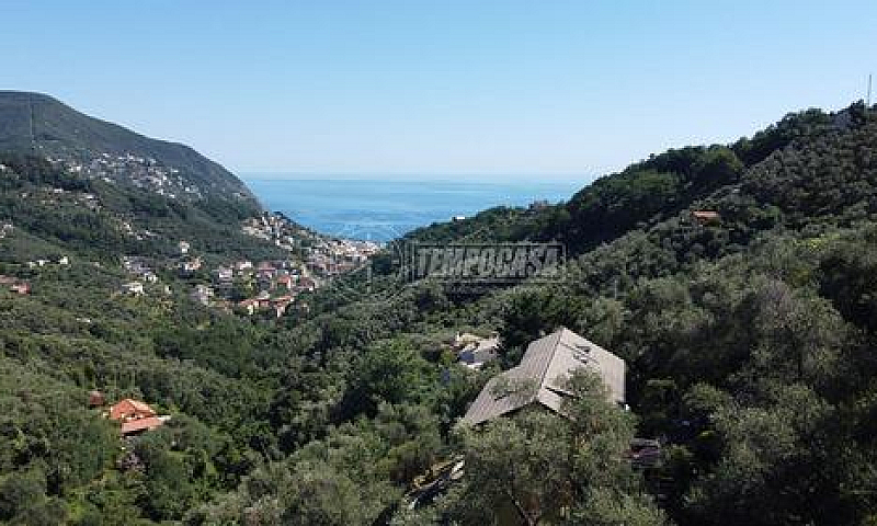 2 Locali Vista Mare...