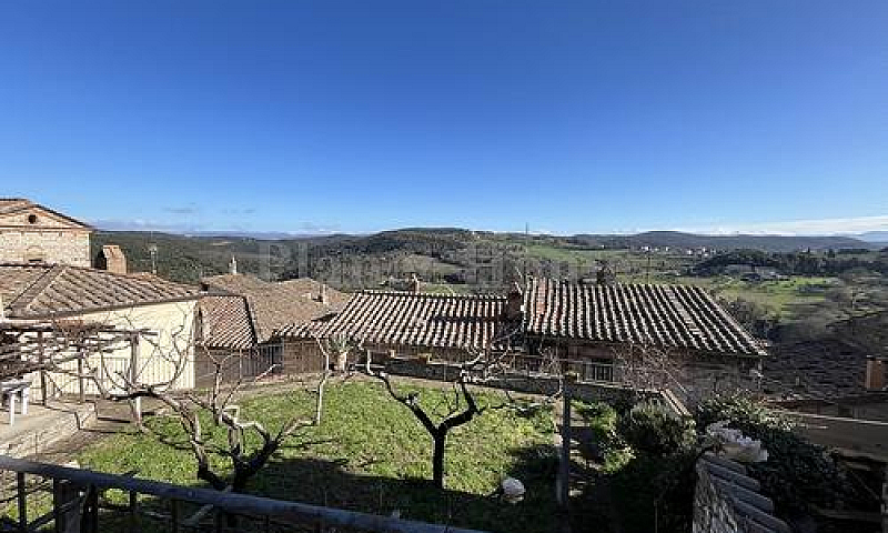 Amelia Palazzetto Ne...