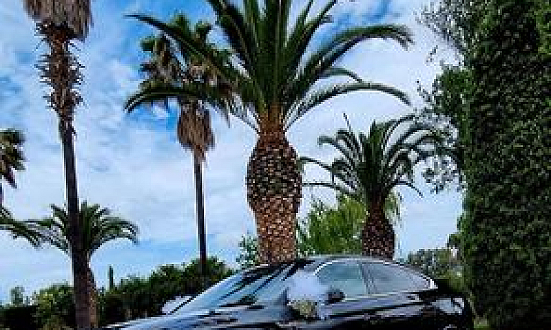 Audi A5 Spb 50 Tdi Q...