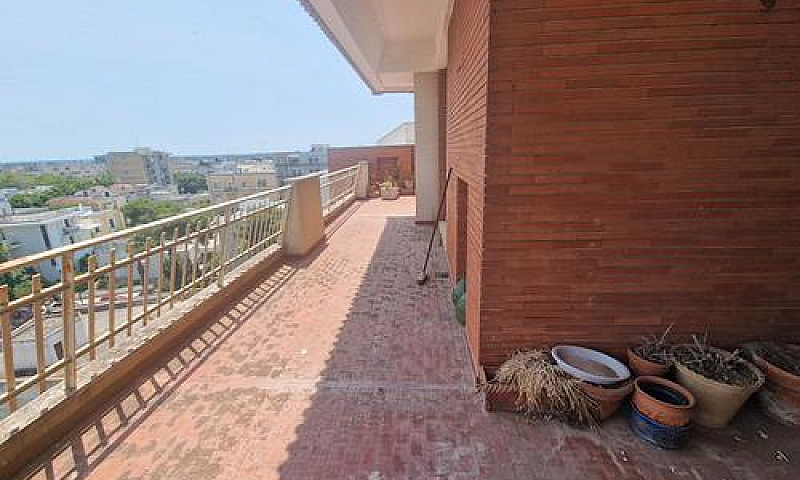Zona San Lazzaro Att...