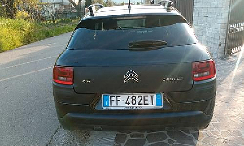 C4 Cactus Unipro Km ...