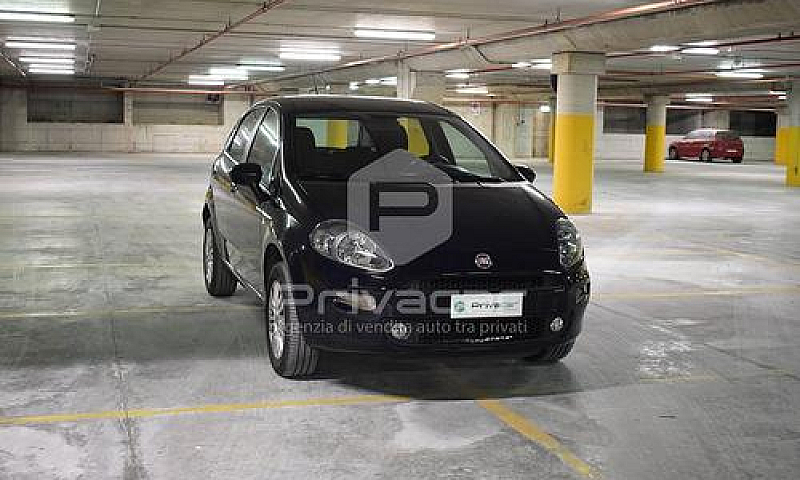 Fiat Punto 1.4 8V 5 ...