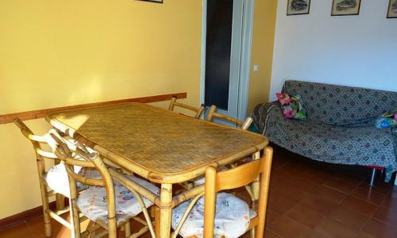 Cecina Mare, 400Mt D...