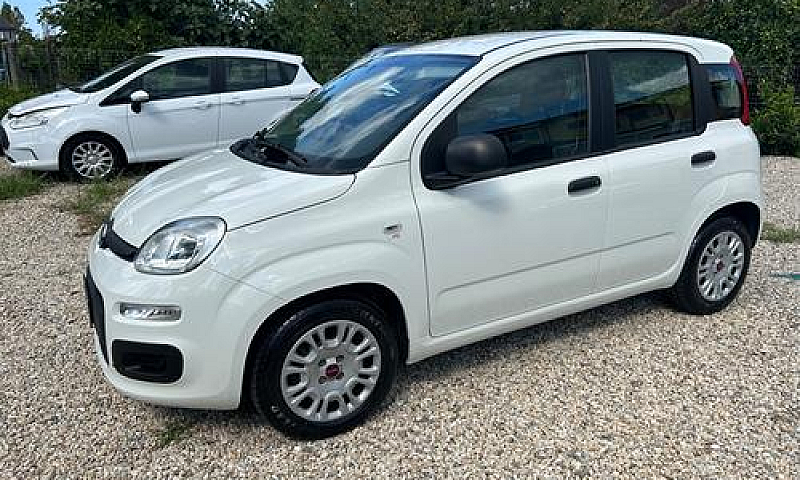 Fiat Panda 1.0 Firef...