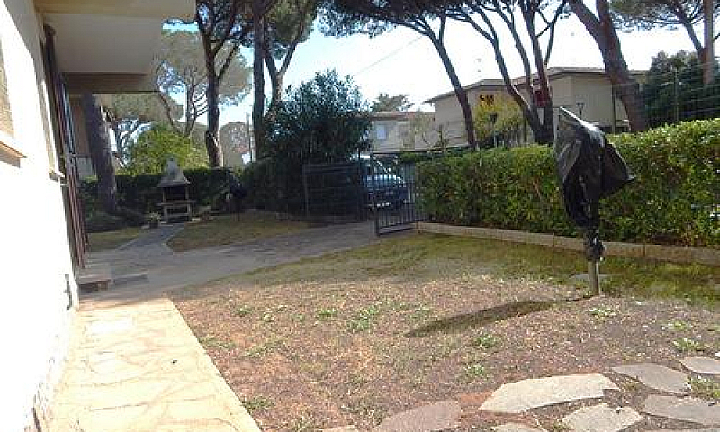 M102-M.castagneto-Am...