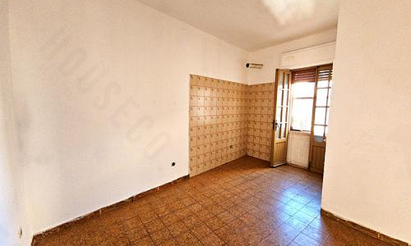 Zona Viale Colombo: ...