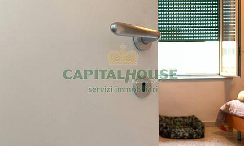 S1 Appartamento In Z...