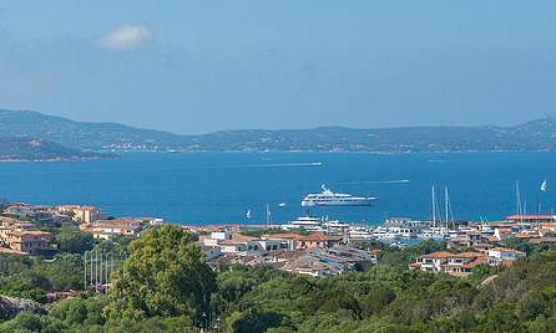Appartamento - Olbia...