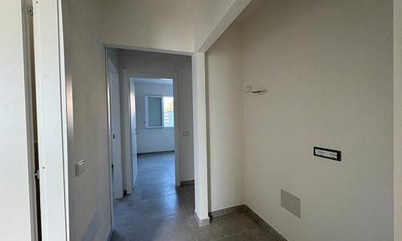 Pari Al Nuovo, Quadr...