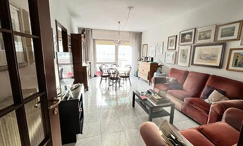 Lavis Panoramico App...