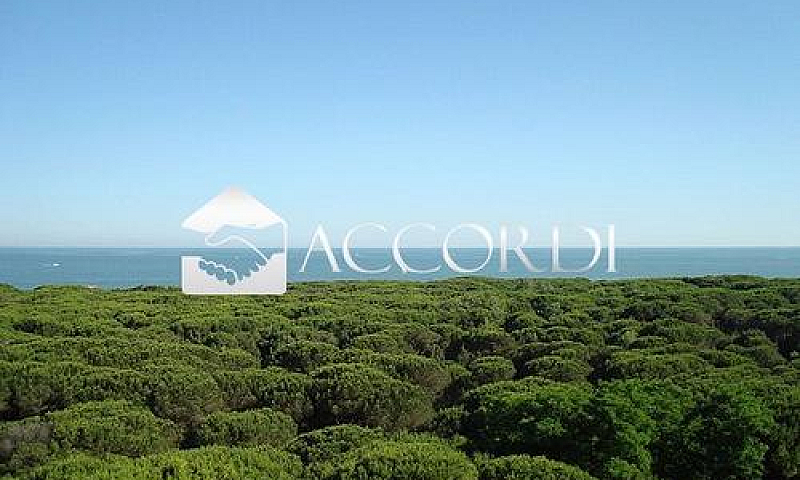 Rif.ap41_7| Appartam...