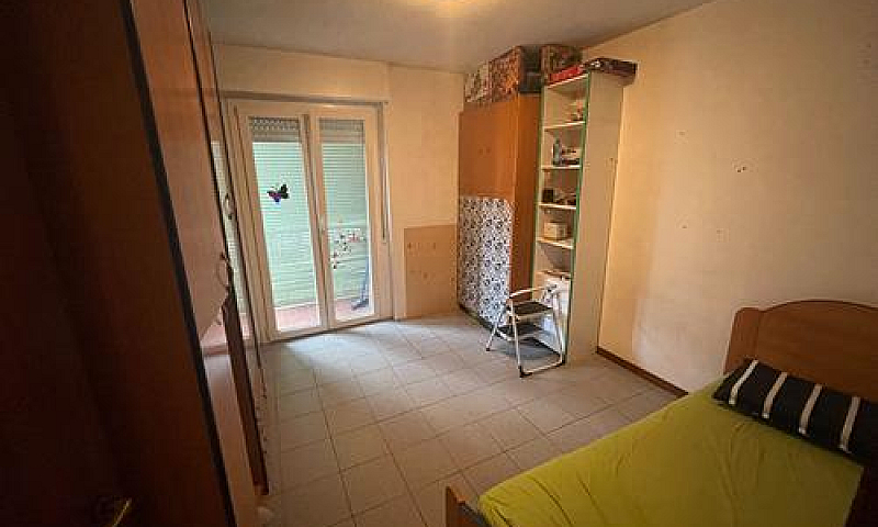 Laives Mq 80 Libero ...