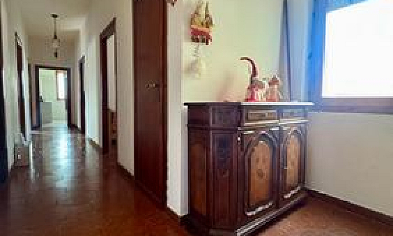 Ampio Appartamento N...