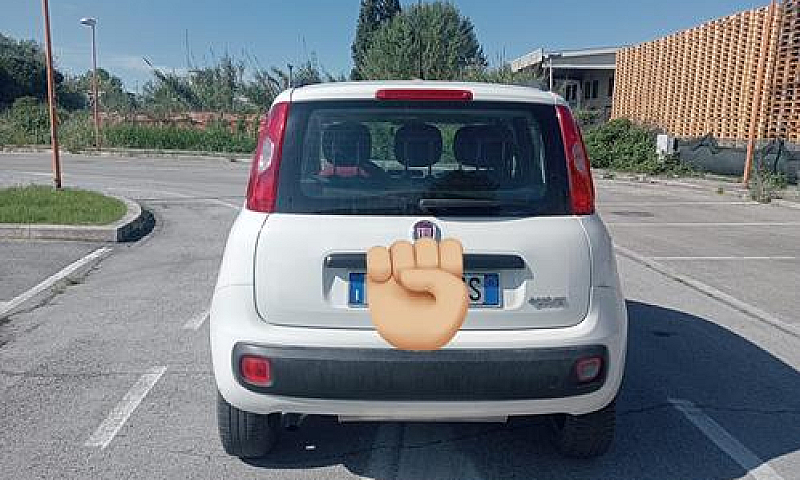 Panda Benzina Metano...