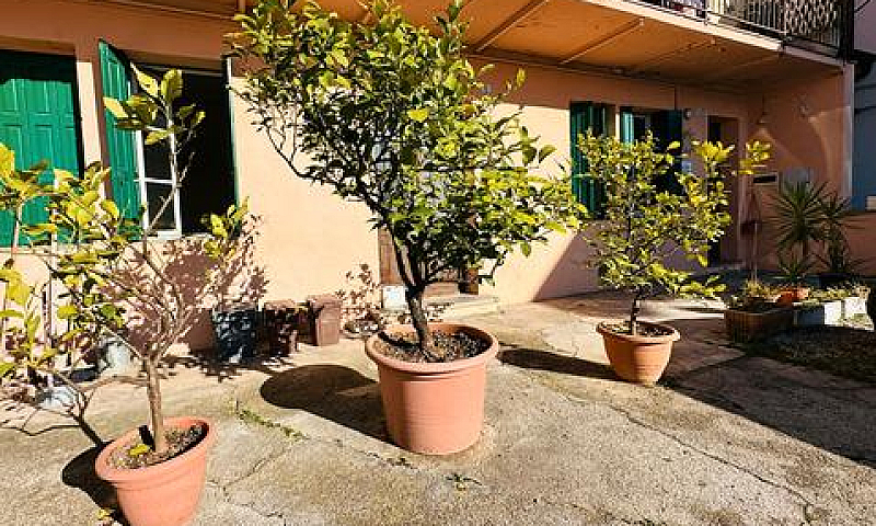 Bicamere Da Ristrutt...