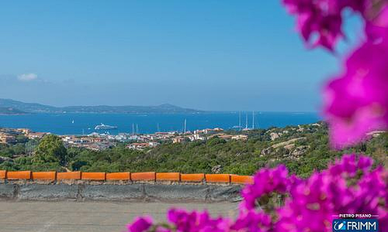 Appartamento - Olbia...