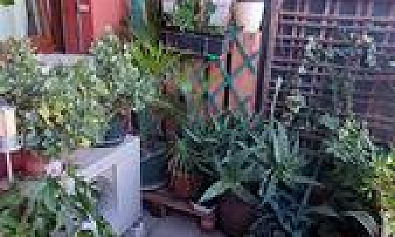 Privato Vende Duplex...