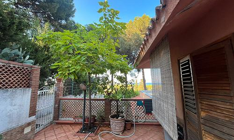 Copanello Di Stalett...
