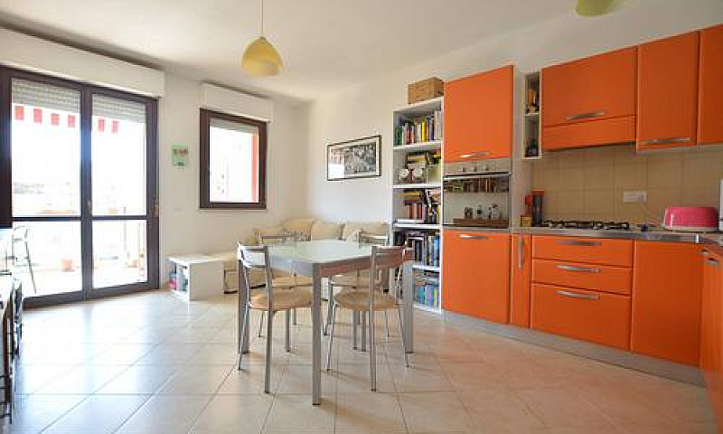 Appartamento - Cagli...