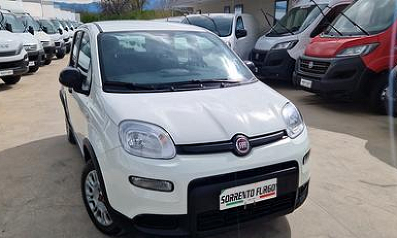 Fiat Panda 1.0 Firef...