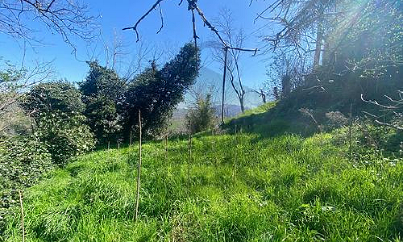 Terratetto A San Leo...