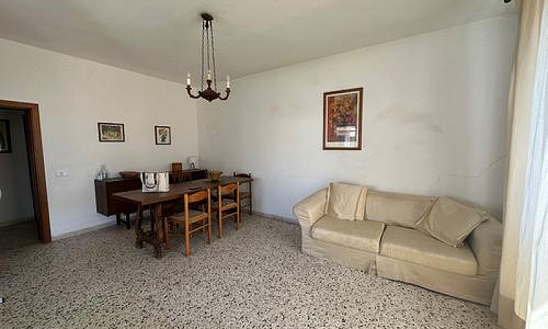 5 Vani Con Ingresso ...