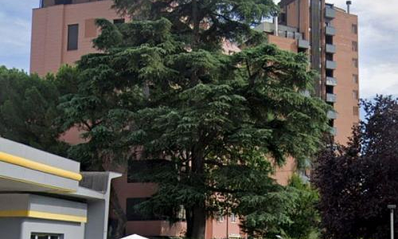 Appartamento, Bologn...
