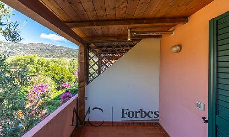 San Teodoro | Triloc...