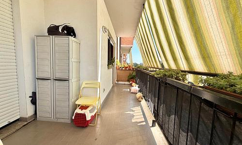 Zona Capretta - 5 Lo...