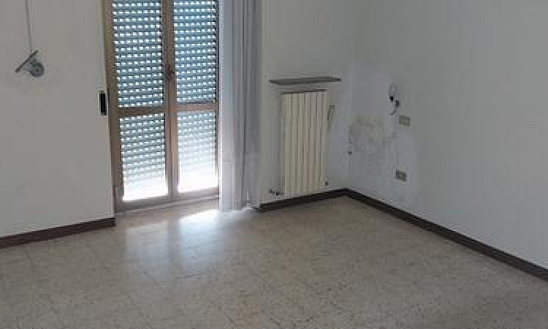 Venarotta Centraliss...
