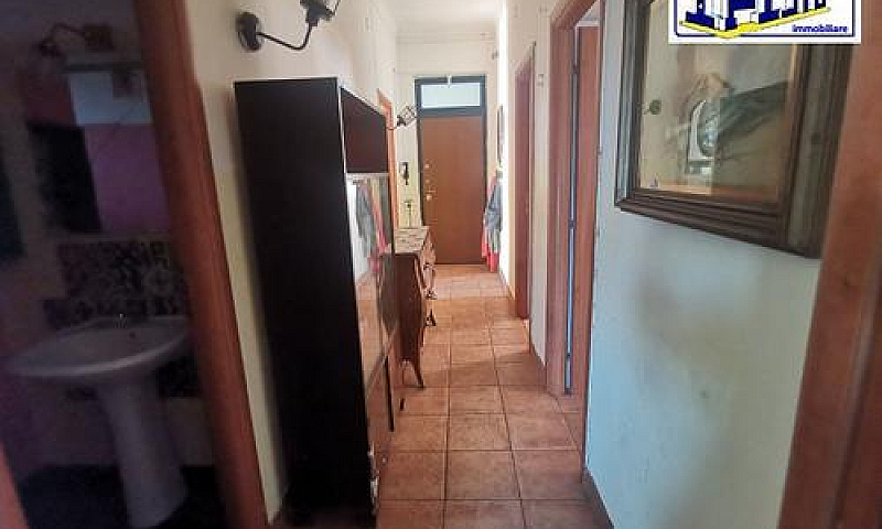 Trivani Più Accessor...